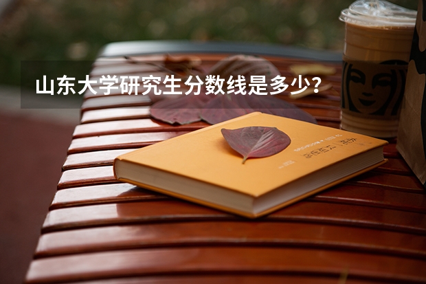 山东大学研究生分数线是多少？