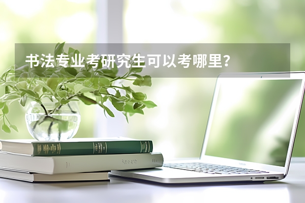 书法专业考研究生可以考哪里？
