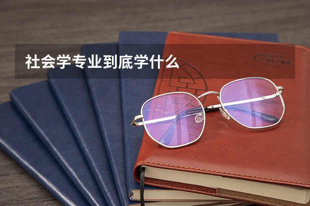 社会学专业到底学什么