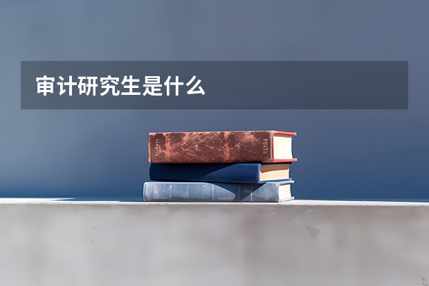 审计研究生是什么