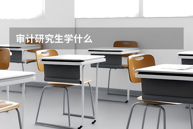 审计研究生学什么