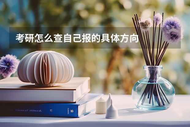 考研怎么查自己报的具体方向