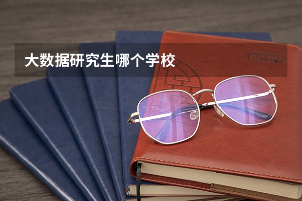 大数据研究生哪个学校
