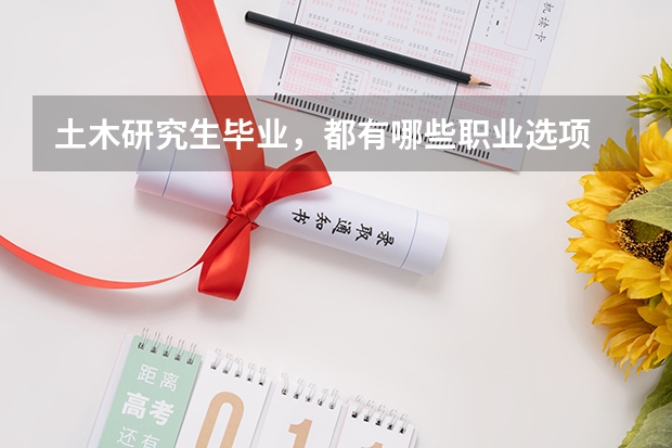 土木研究生毕业，都有哪些职业选项