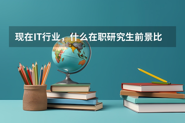 现在IT行业，什么在职研究生前景比较好？