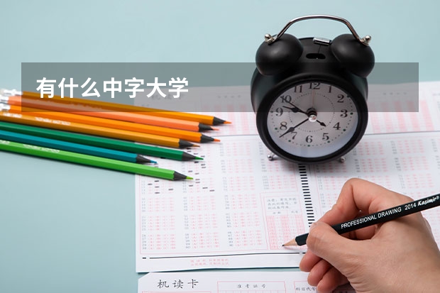 有什么中字大学