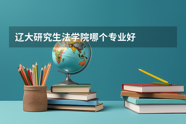 辽大研究生法学院哪个专业好