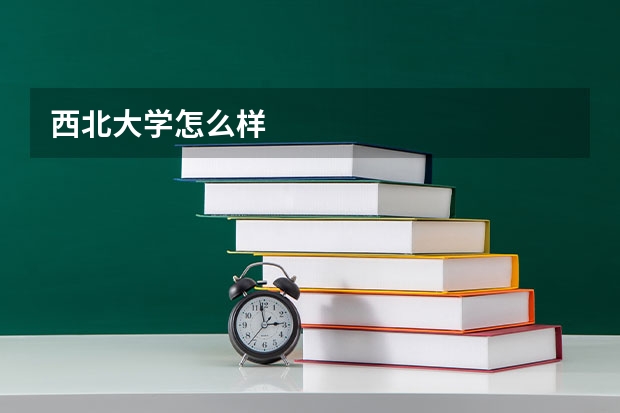 西北大学怎么样