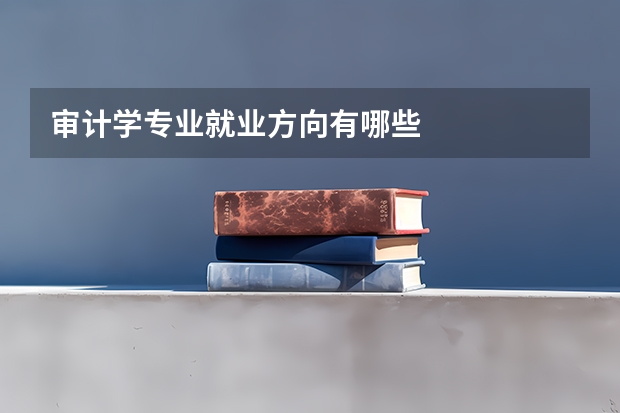 审计学专业就业方向有哪些