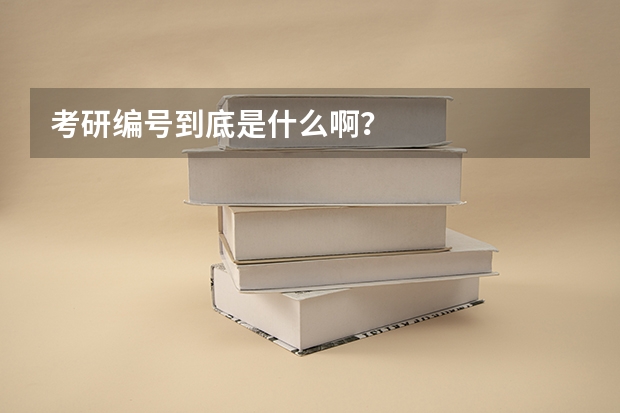 考研编号到底是什么啊？