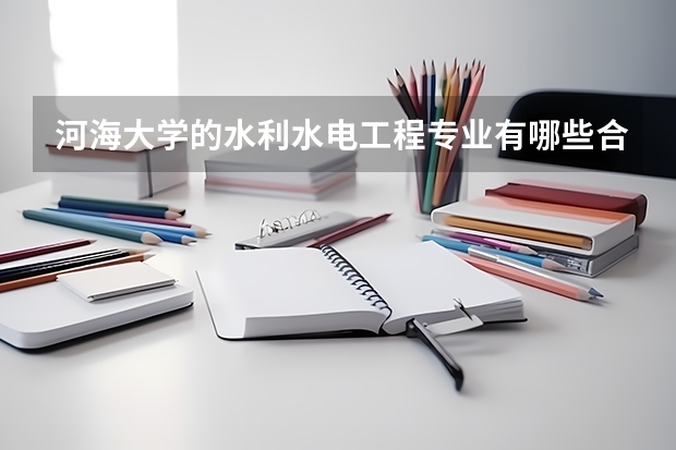 河海大学的水利水电工程专业有哪些合作项目？
