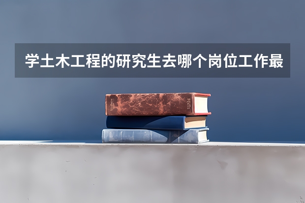 学土木工程的研究生去哪个岗位工作最好？