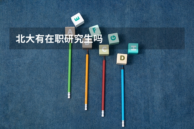 北大有在职研究生吗